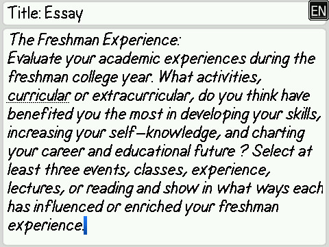 freshman experience essay