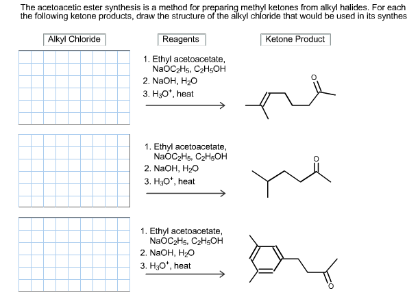 Solved The acetoacelic ester synthesis is a method for | Chegg.com