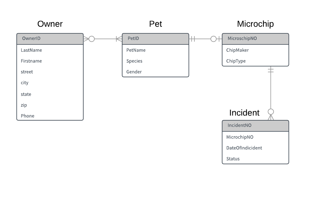 Solved Create a Relational Schema from this ER diagram: | Chegg.com