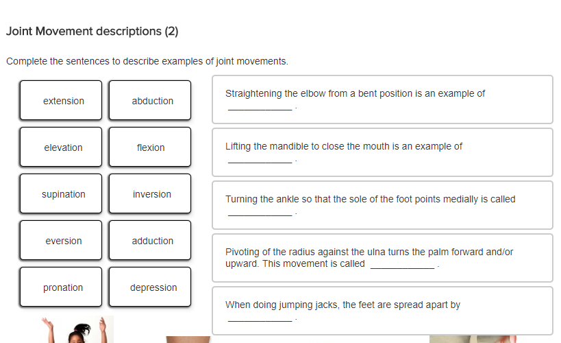 Solved Complete the sentences to describe examples of joint