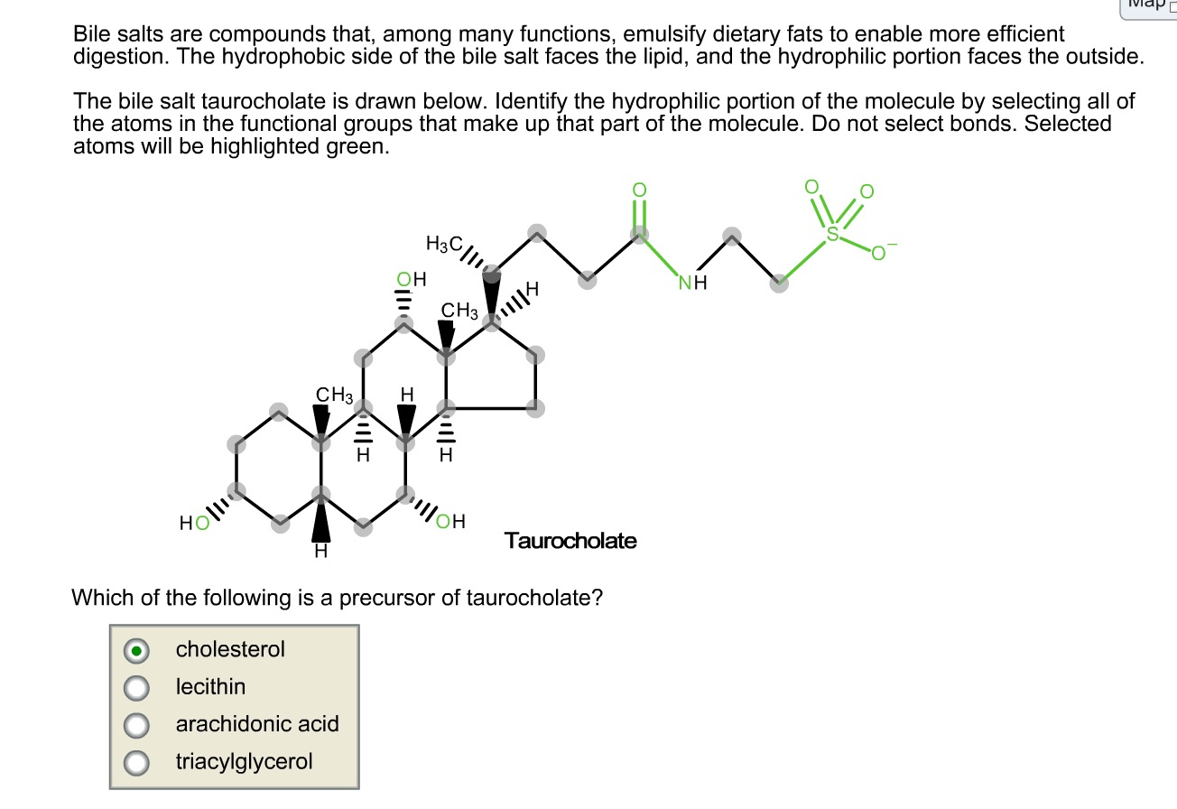 Identify the hydrophilic portion of the molecule by