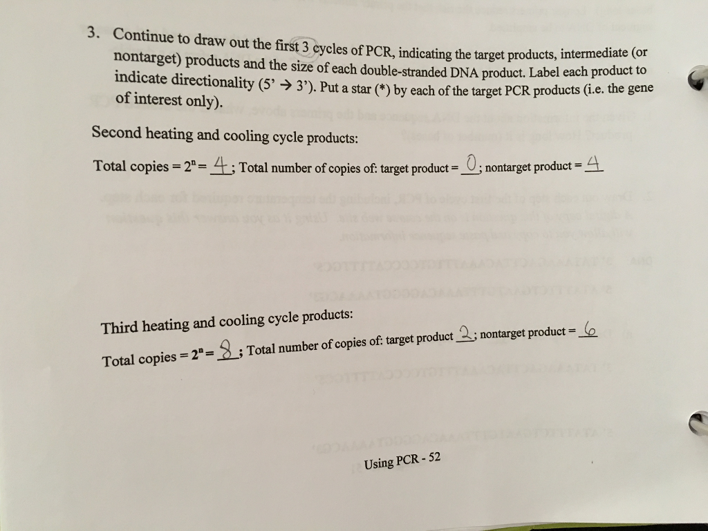 Solved to 7. Assume you are using PCR polymerase chain | Chegg.com