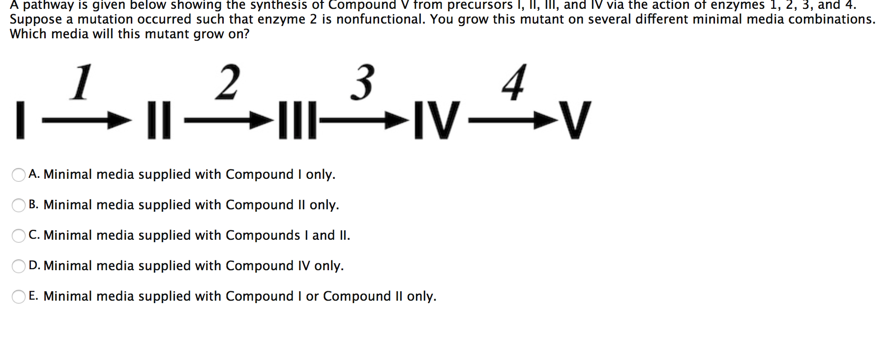 genetics essay questions and answers