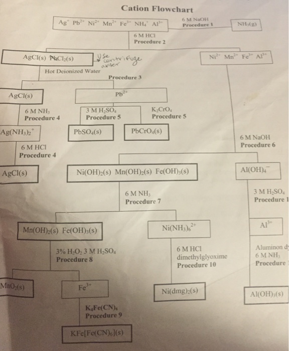 Solved By using this cation flowchart can I get help to | Chegg.com