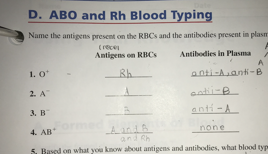 Solved I Do Not Understand Blood Typing At All This Chegg Solved I Do Not Understand Blood Typing At All This Chegg
