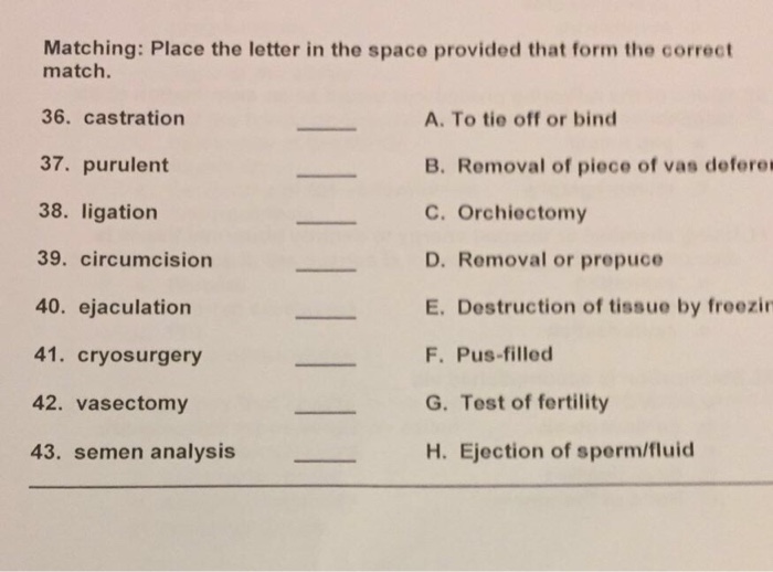 Solved Matching Place The Letter In The Space Provided That Chegg