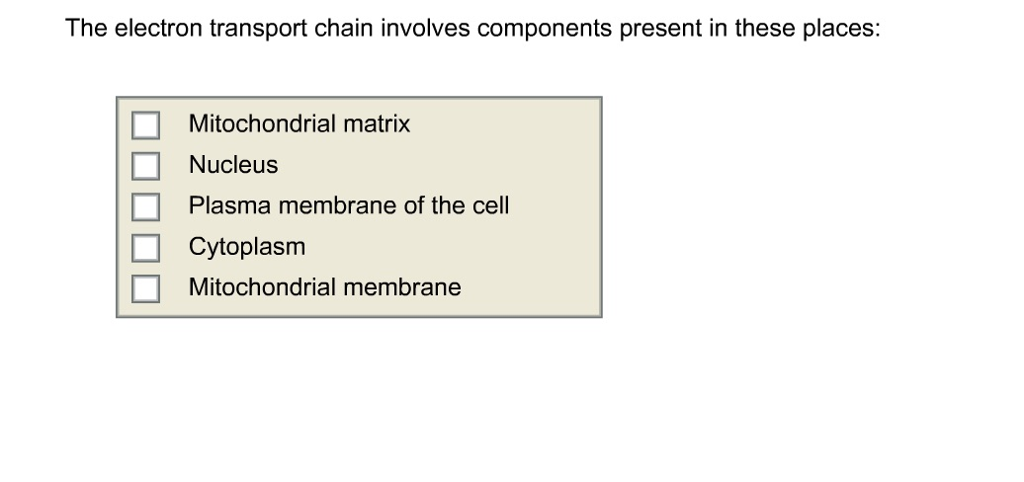 Solved The electron transport chain involves components | Chegg.com