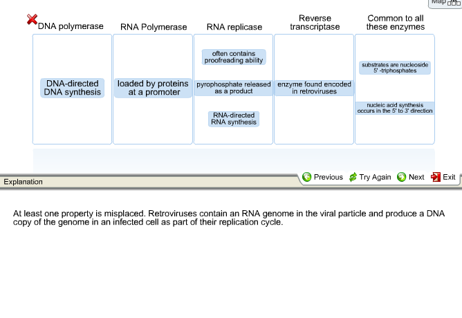 Solved Reverse Transcriptase Common To All These Enzymes Dna