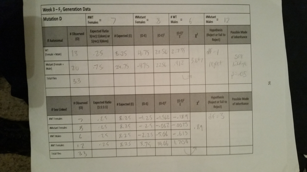 Mutation Virtual Lab Worksheet Answers / Bio 123 Breeding Mutation In