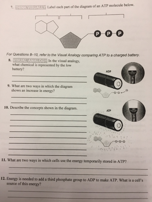 Solved Label each part of the diagram of an ATP molecule