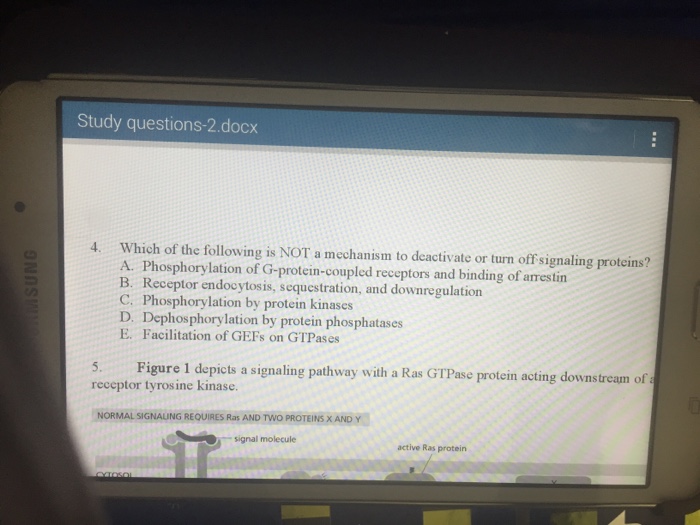Solved which of the following is not a mechanism to | Chegg.com