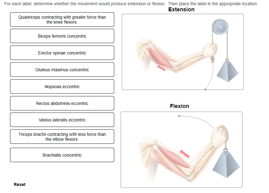 Solved For each label, determine whether the movement would