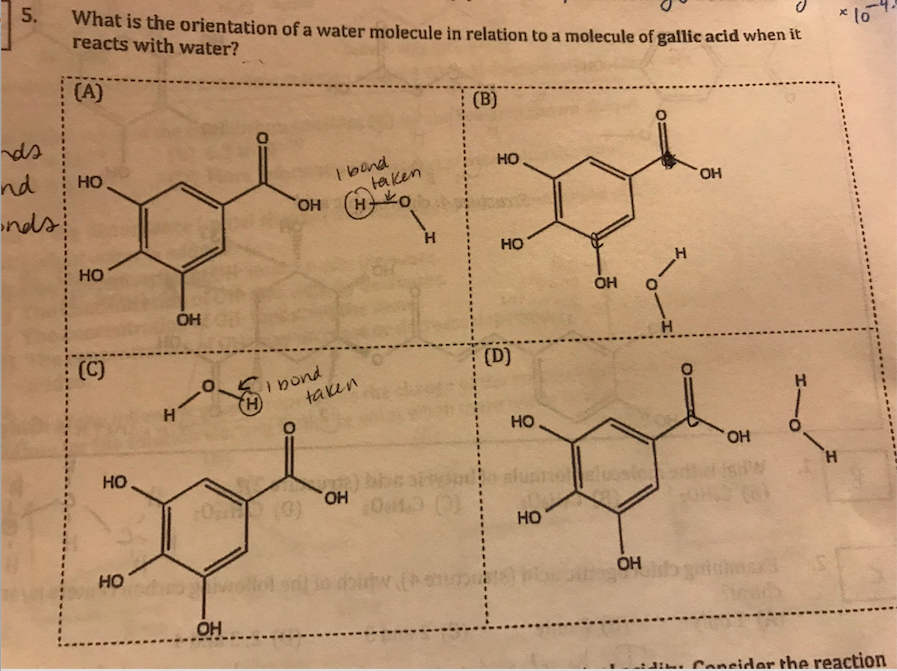 Solved What is the orientation of a water molecule in | Chegg.com