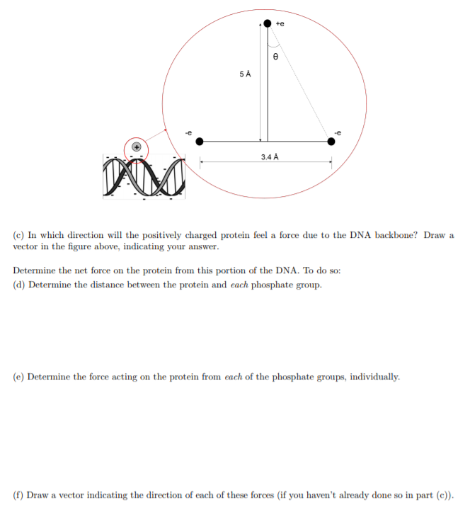 Force protein Force protein