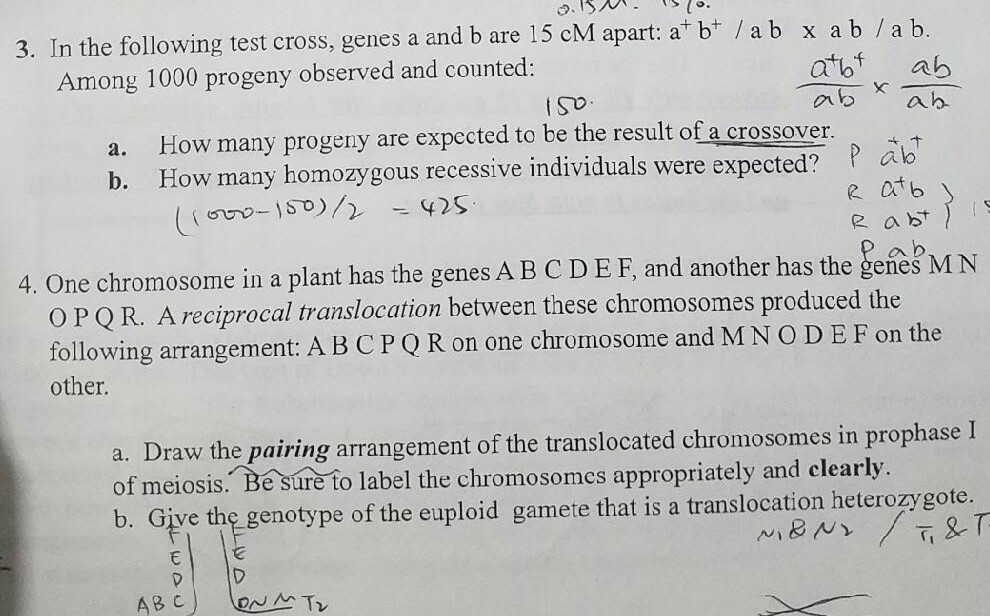 Solved 3. In the following test cross, genes a and b are 15 | Chegg.com