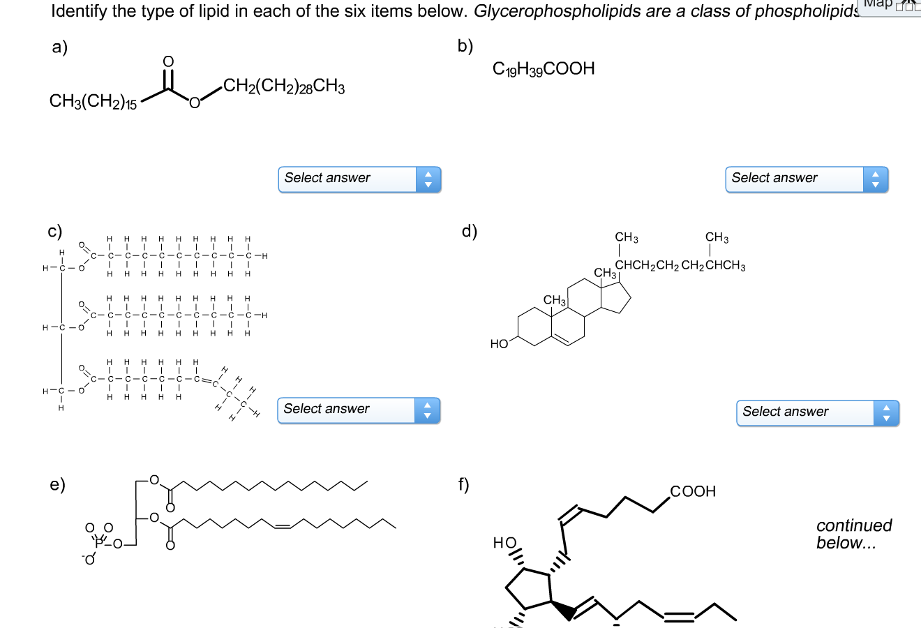 Solved Identify the type of lipid in each of the six items