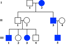 Solved 1)The pedigree below is of a family in which some | Chegg.com