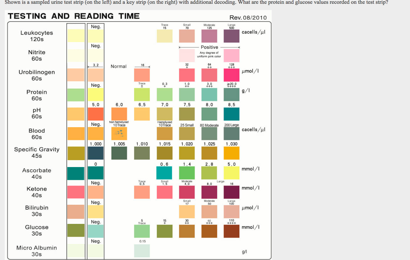 solved-shown-is-a-sampled-urine-test-strip-on-the-left-and-chegg