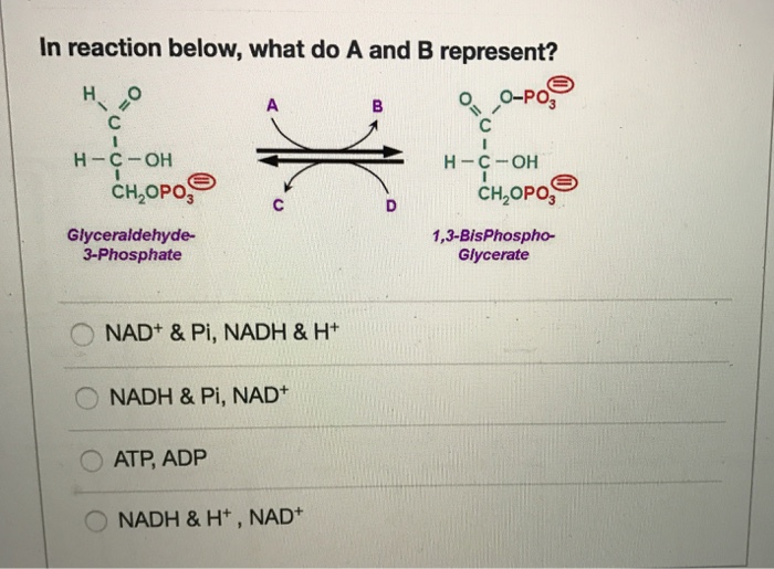 solved-in-reaction-below-what-do-a-and-b-represent-nad-chegg