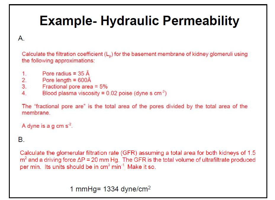 Example Hydraulic Permeability A. Calculate the