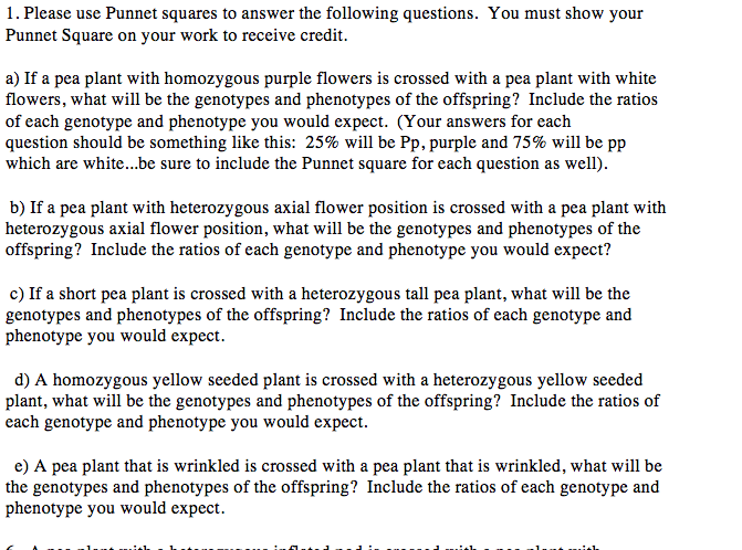 Solved Use Punnet squares to answer the following questions. | Chegg.com