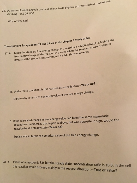 solved-do-warm-blooded-animals-use-heat-energy-to-do-chegg