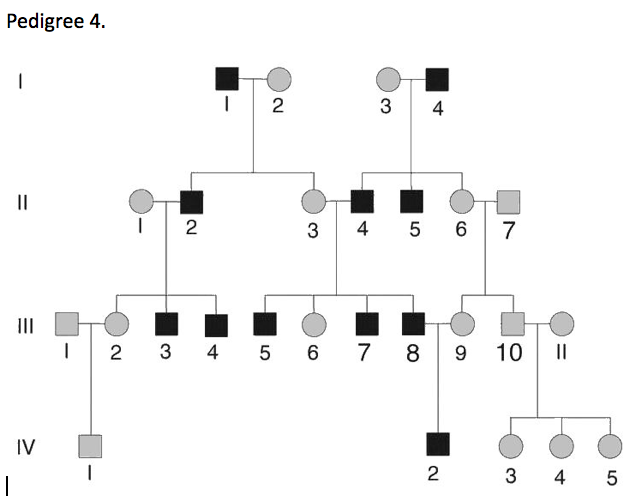 what-do-two-lines-on-a-pedigree-mean