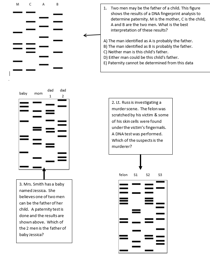 Solved 1. Two men may be the father of a child. This figure