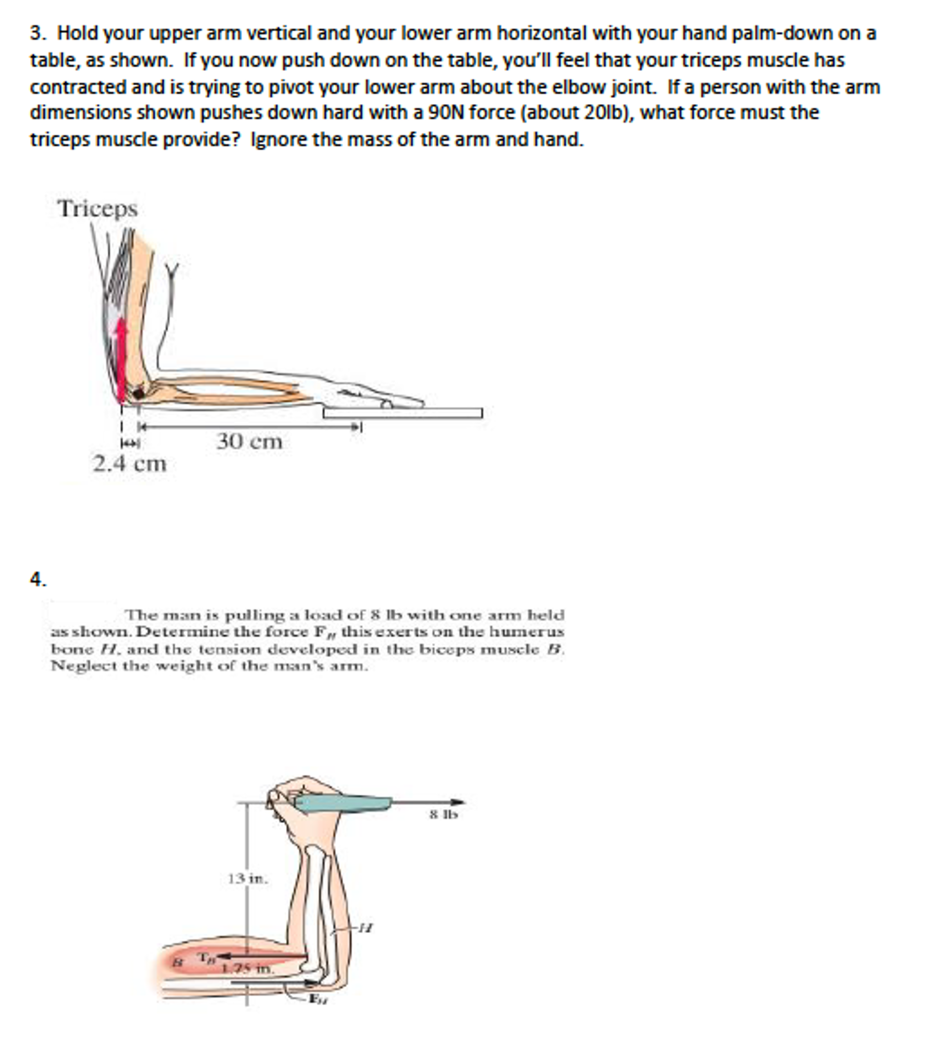 Solved Hold your upper arm vertical and your lower arm | Chegg.com