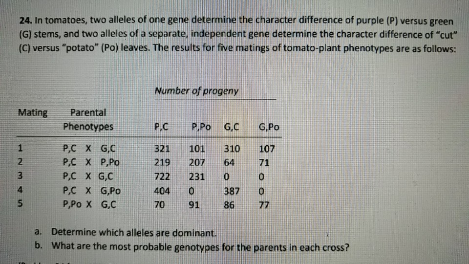 solved-24-in-tomatoes-two-alleles-of-one-gene-determine-chegg