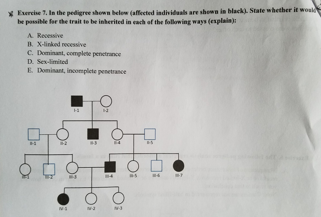 Solved In the pedigree shown below (affected individuals are | Chegg.com