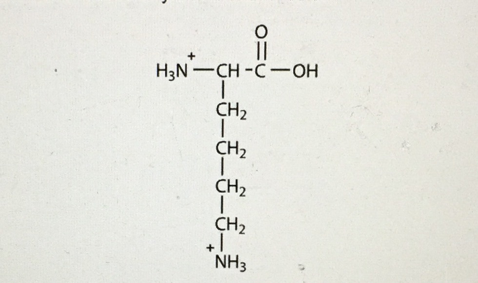 Solved All amino acids have two ionizable functional groups