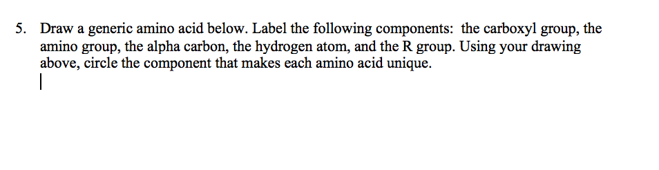 Solved Draw a generic amino acid below. Label the following | Chegg.com