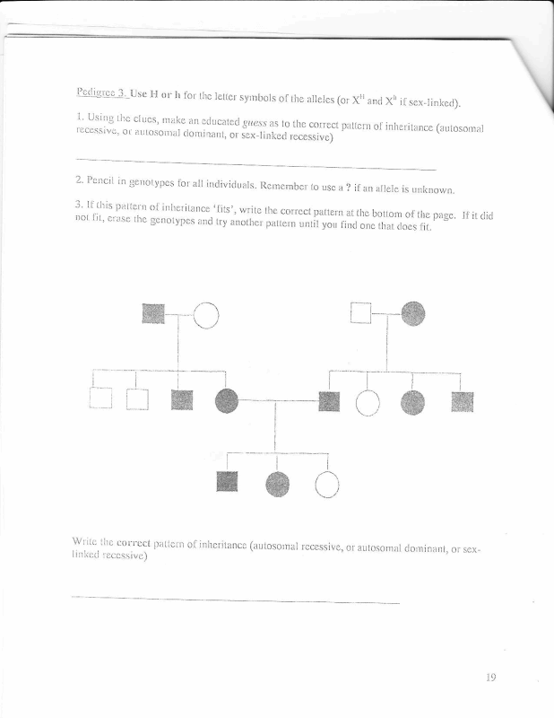 Solved Use H or h for the letter symbols or the alleles (or | Chegg.com