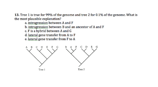 Solved 13, Tree 1 is true for 99% of the genome and tree 2 | Chegg.com