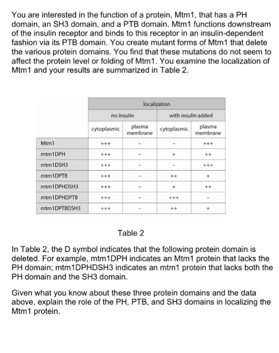 Solved You are interested n the function of a protein. | Chegg.com