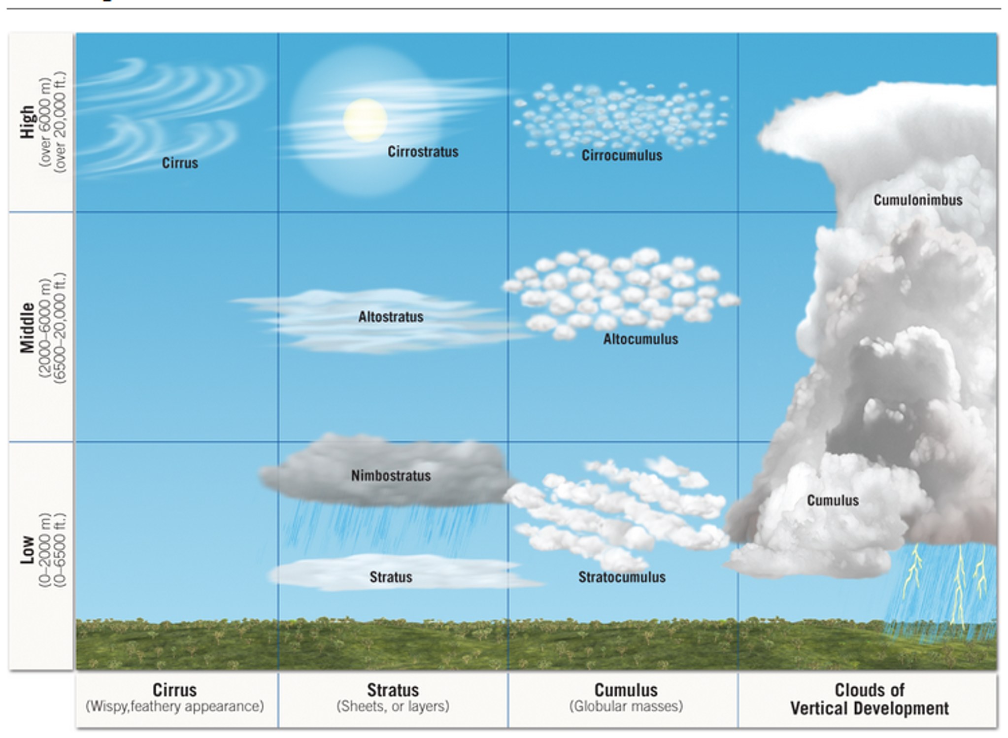 Город облаков коды. Виды облаков. Stratus Cumulus. Cirrostratus облака. Виды облаков иллюстрация.
