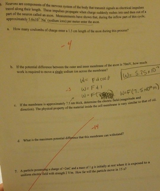 Solved Neurons are components of the nervous system of the | Chegg.com