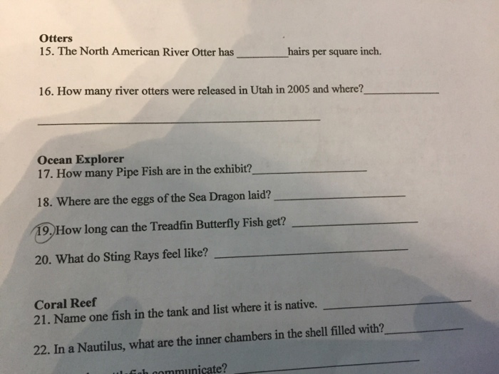 Solved Otters 15. The North American River Otter has hairs | Chegg.com