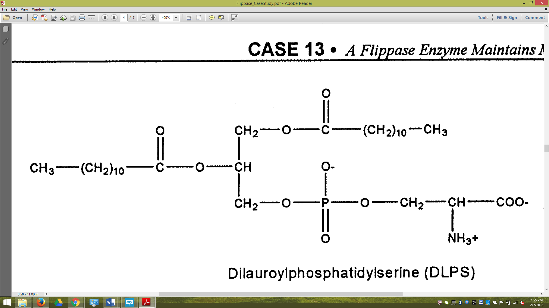 Solved The ability of the flippase to translocate DLPS and