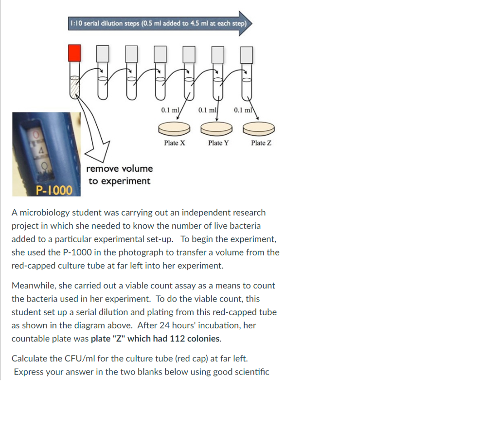 solved-1-10-serial-dilution-steps-0-5-ml-added-to-4-5-ml-at-chegg