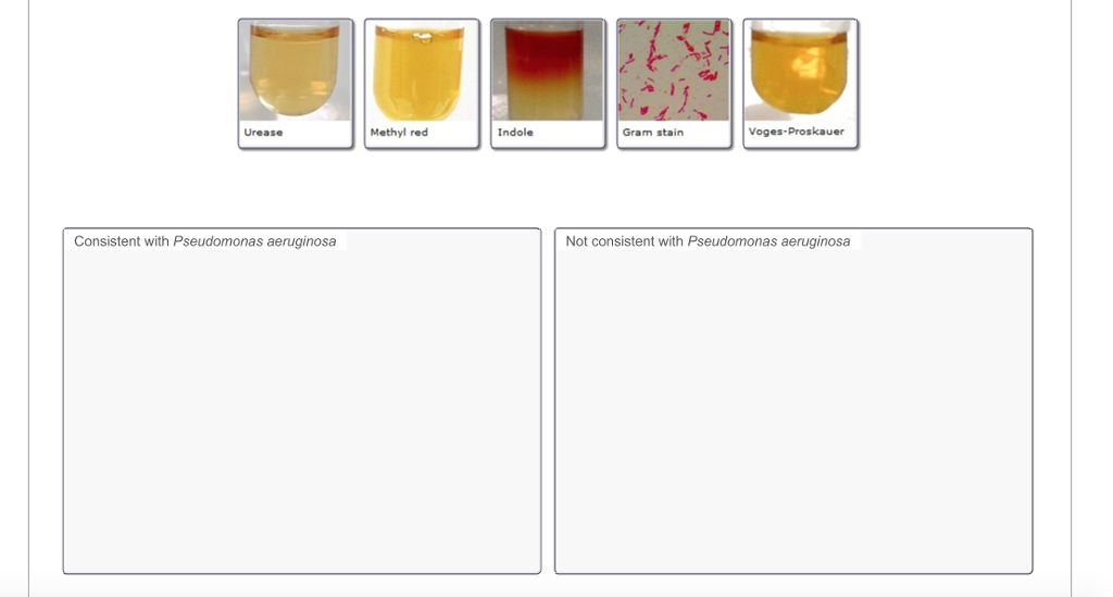 The results of several correctly performed tests | Chegg.com