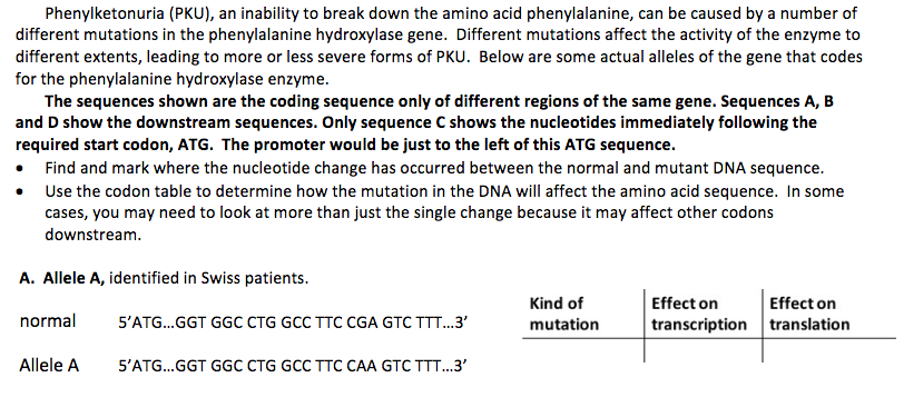 Solved Phenylketonuria (PKU), an inability to break down the | Chegg.com