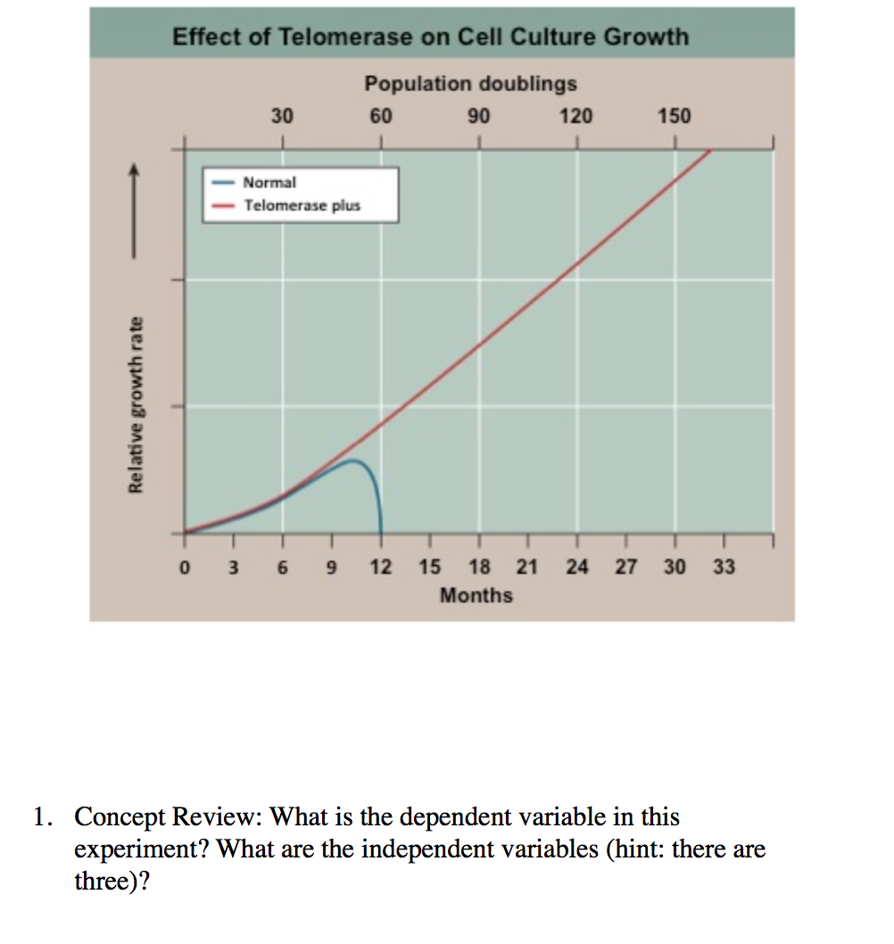 the dependent variable in an experiment quizlet