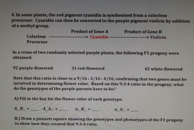 Solved 4. In some plants, the red pigment cyanidin is | Chegg.com