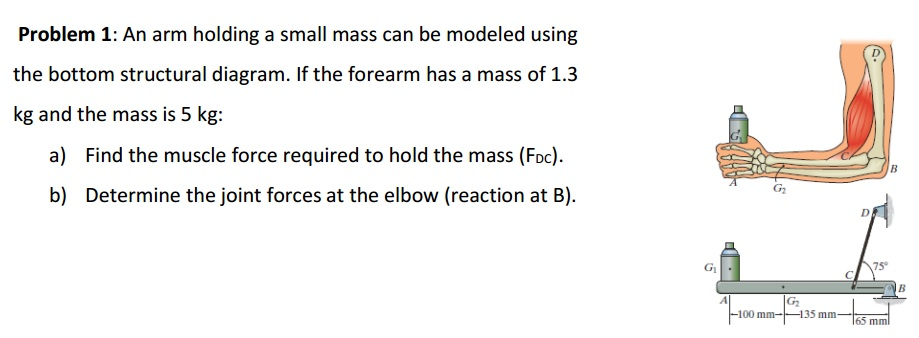 Solved An arm holding a small mass can be modeled using the | Chegg.com