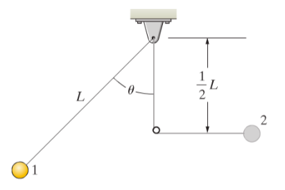 Solved The 3g mass hangs on a string of length, L = 0.8m. | Chegg.com