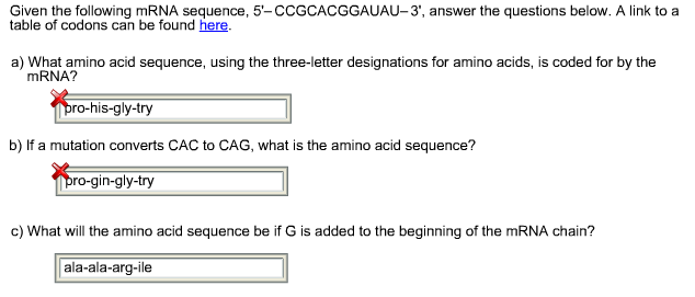 decoding-mrna-worksheet-answers