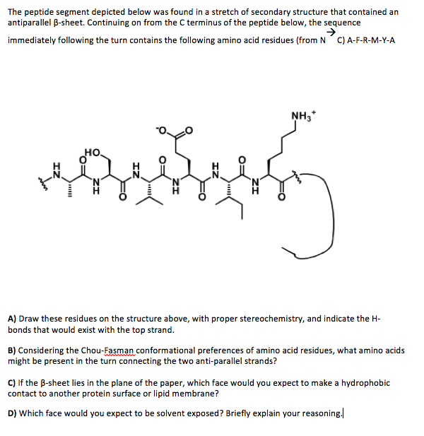 amide plane peptide backbone