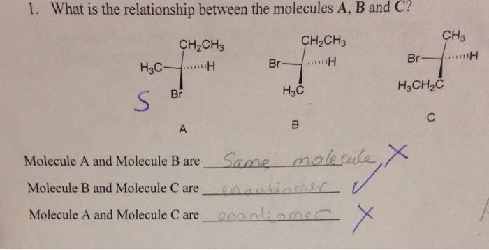 Solved What Is The Relationship Between The Molecules A, B | Chegg.com